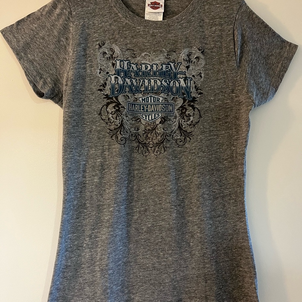 Harley-Davidson Gray Tee with Blue Graphic